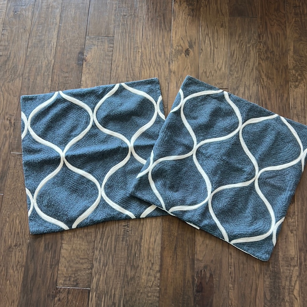 PotteryBarn Pillow Shams - set of 2